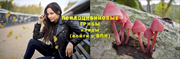 стафф Пересвет
